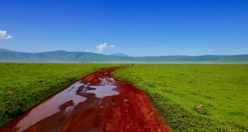 Road - Ngorongoro.jpg